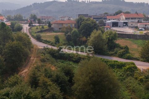 Terra a Tabuacas, Braga, Tabuacas - € 160.000 | Ref: ZMPT578482 - foto 8