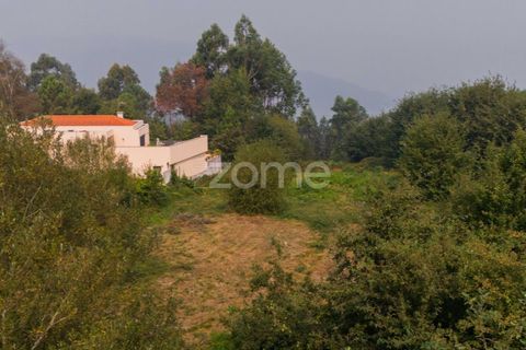 Terra a Tabuacas, Braga, Tabuacas - € 160.000 | Ref: ZMPT578482 - foto 9