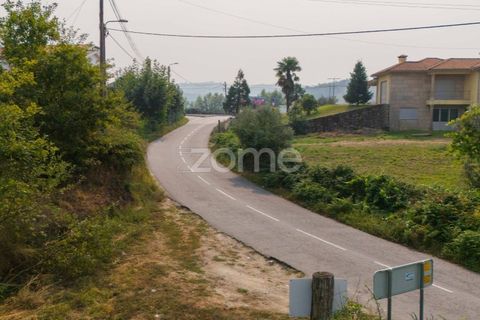 Terra a Tabuacas, Braga, Tabuacas - € 160.000 | Ref: ZMPT578482 - foto 10