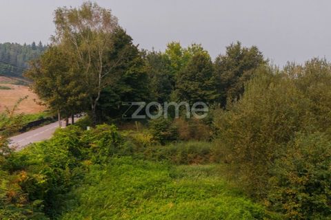 Terra a Tabuacas, Braga, Tabuacas - € 160.000 | Ref: ZMPT578482 - foto 11