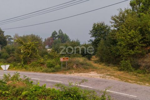 Terra a Tabuacas, Braga, Tabuacas - € 160.000 | Ref: ZMPT578482 - foto 12