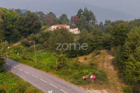 Terra a Tabuacas, Braga, Tabuacas - € 160.000 | Ref: ZMPT578482 - foto 13