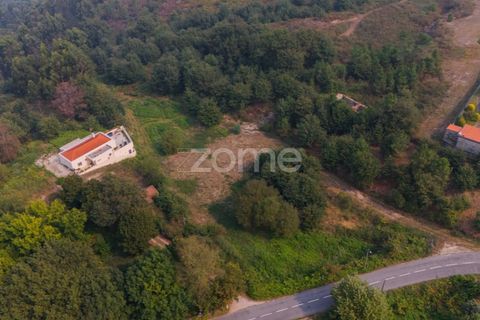 Terra a Tabuacas, Braga, Tabuacas - € 160.000 | Ref: ZMPT578482 - foto 16