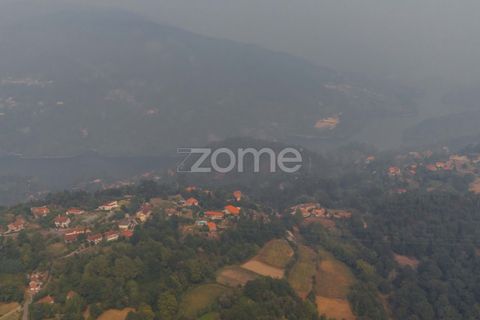 Terra a Tabuacas, Braga, Tabuacas - € 160.000 | Ref: ZMPT578482 - foto 17