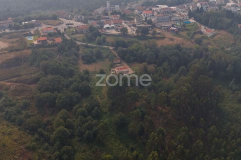 Terra a Tabuacas, Braga, Tabuacas - € 160.000 | Ref: ZMPT578482 - foto 18