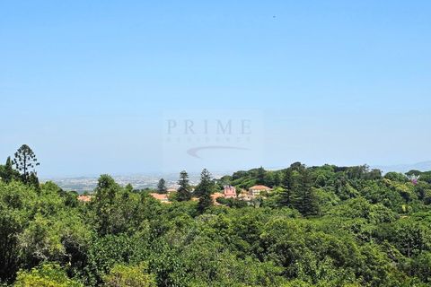 Lejlighed i Sintra, Lisbon, Sintra - € 380.000 | Ref: APA_697 - foto 7