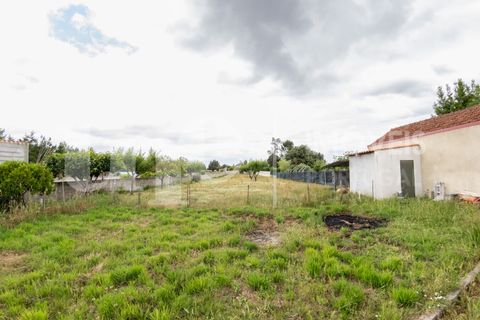 Villa a Sangalhos, Aveiro, Sangalhos - € 375.000 | Ref: CAS_312 - foto 24