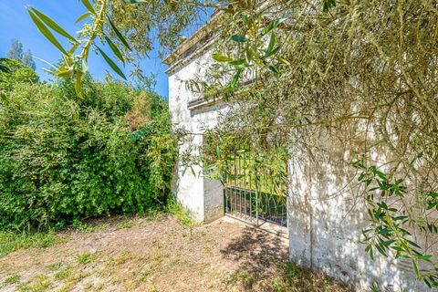 Villa i Sintra, Lisbon, Sintra - € 1.200.000 | Ref: M668 - foto 4