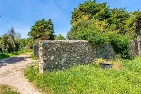 Villa i Sintra, Lisbon, Sintra - € 1.200.000 | Ref: M668 - foto 6