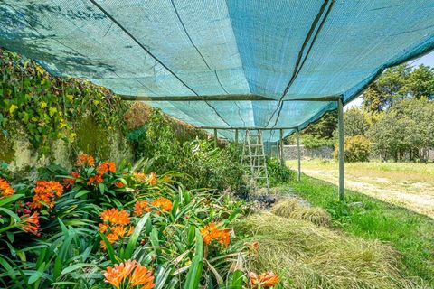 Villa i Sintra, Lisbon, Sintra - € 1.200.000 | Ref: M668 - foto 9
