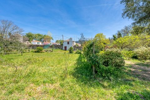 Villa i Sintra, Lisbon, Sintra - € 1.200.000 | Ref: M668 - foto 13