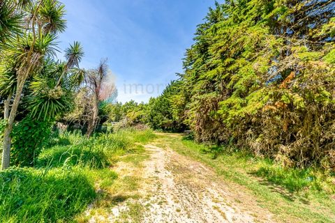 Villa i Sintra, Lisbon, Sintra - € 1.200.000 | Ref: M668 - foto 18