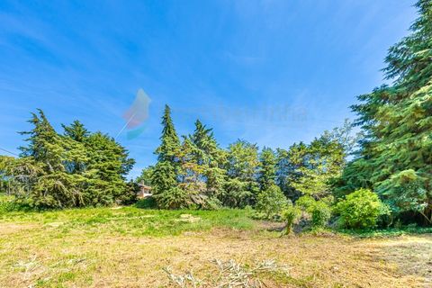 Villa i Sintra, Lisbon, Sintra - € 1.200.000 | Ref: M668 - foto 21