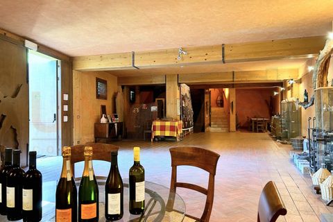 Gårdshus i Cinto Euganeo, Padua, Cinto Euganeo - € 1 300 000 | Ref: VF01 - foto 20