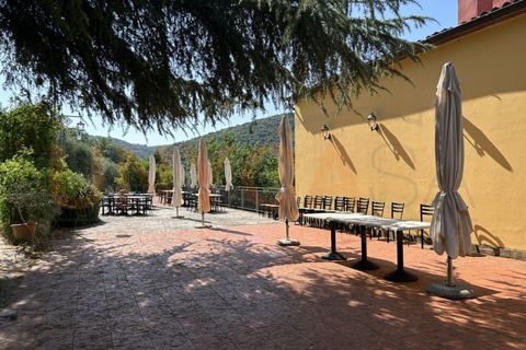 Gårdshus i Cinto Euganeo, Padua, Cinto Euganeo - € 1 300 000 | Ref: VF01 - foto 23