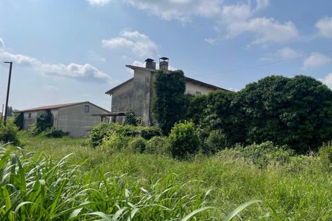 Terra a Tribano, Padua, Tribano - € 140.000 | Ref: SB-23 - foto 5