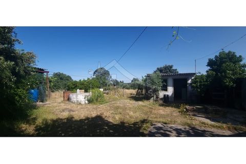 Terra a Alcains, Castelo Branco, Alcains - € 150.000 | Ref: TER_156 - foto 2