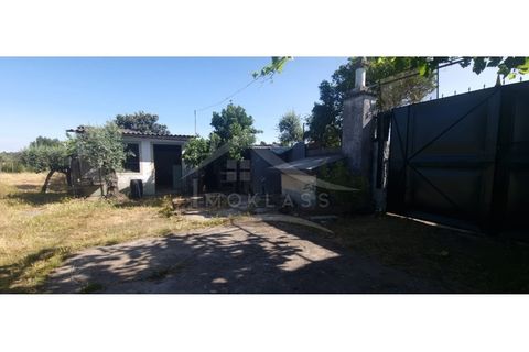 Terra a Alcains, Castelo Branco, Alcains - € 150.000 | Ref: TER_156 - foto 3