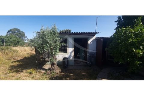 Terra a Alcains, Castelo Branco, Alcains - € 150.000 | Ref: TER_156 - foto 4