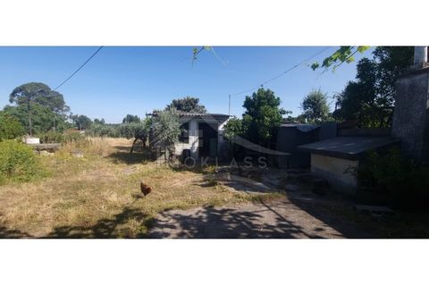 Terra a Alcains, Castelo Branco, Alcains - € 150.000 | Ref: TER_156 - foto 5