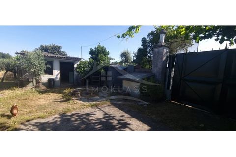 Terra a Alcains, Castelo Branco, Alcains - € 150.000 | Ref: TER_156 - foto 11