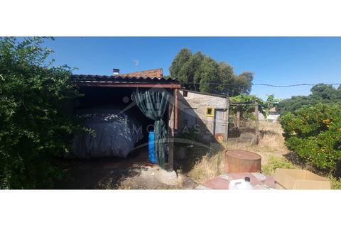 Terra a Alcains, Castelo Branco, Alcains - € 150.000 | Ref: TER_156 - foto 13