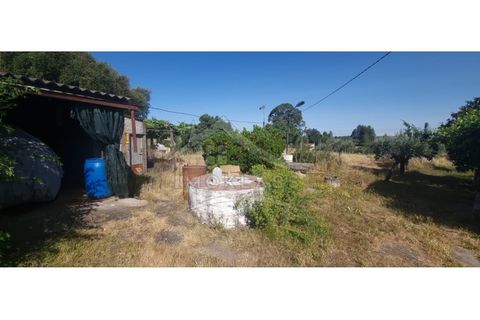 Terra a Alcains, Castelo Branco, Alcains - € 150.000 | Ref: TER_156 - foto 14