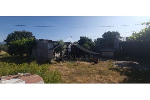 Terra a Alcains, Castelo Branco, Alcains - € 150.000 | Ref: TER_156 - foto 15