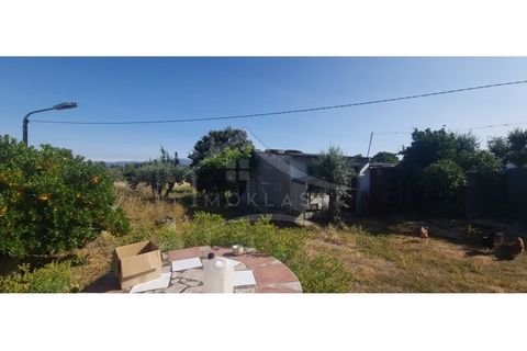Terra a Alcains, Castelo Branco, Alcains - € 150.000 | Ref: TER_156 - foto 16