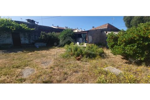 Terra a Alcains, Castelo Branco, Alcains - € 150.000 | Ref: TER_156 - foto 17