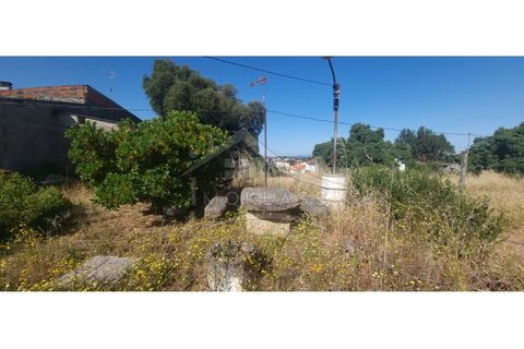 Terra a Alcains, Castelo Branco, Alcains - € 150.000 | Ref: TER_156 - foto 18