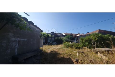 Terra a Alcains, Castelo Branco, Alcains - € 150.000 | Ref: TER_156 - foto 19