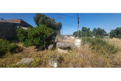 Terra a Alcains, Castelo Branco, Alcains - € 150.000 | Ref: TER_156 - foto 20
