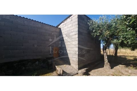 Terra a Alcains, Castelo Branco, Alcains - € 150.000 | Ref: TER_156 - foto 21