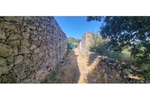 Terra a Alcains, Castelo Branco, Alcains - € 150.000 | Ref: TER_156 - foto 22