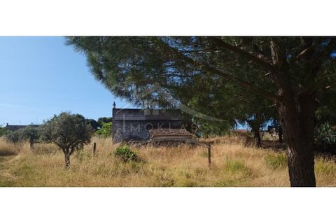 Terra a Alcains, Castelo Branco, Alcains - € 150.000 | Ref: TER_156 - foto 24