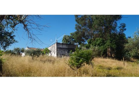 Terra a Alcains, Castelo Branco, Alcains - € 150.000 | Ref: TER_156 - foto 25