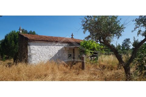 Terra a Alcains, Castelo Branco, Alcains - € 150.000 | Ref: TER_156 - foto 29