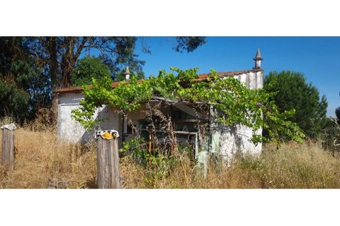 Terra a Alcains, Castelo Branco, Alcains - € 150.000 | Ref: TER_156 - foto 30