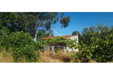 Terra a Alcains, Castelo Branco, Alcains - € 150.000 | Ref: TER_156 - foto 31