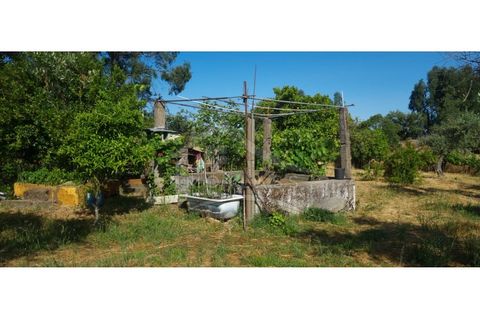 Terra a Alcains, Castelo Branco, Alcains - € 150.000 | Ref: TER_156 - foto 33