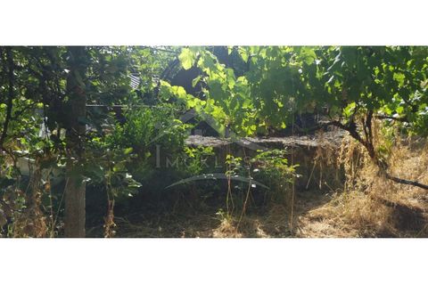 Terra a Alcains, Castelo Branco, Alcains - € 150.000 | Ref: TER_156 - foto 34