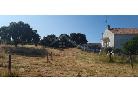 Terra a Alcains, Castelo Branco, Alcains - € 150.000 | Ref: TER_156 - foto 39