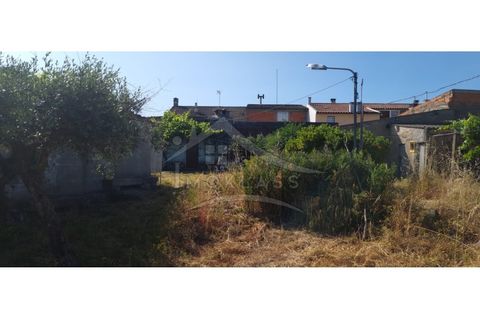 Terra a Alcains, Castelo Branco, Alcains - € 150.000 | Ref: TER_156 - foto 42