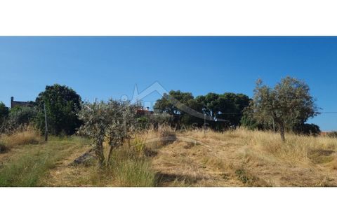 Terra a Alcains, Castelo Branco, Alcains - € 150.000 | Ref: TER_156 - foto 43