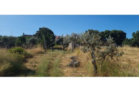 Terra a Alcains, Castelo Branco, Alcains - € 150.000 | Ref: TER_156 - foto 44
