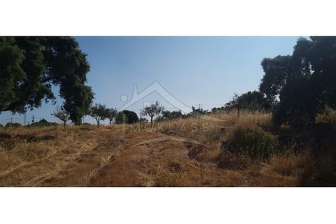 Terra a Alcains, Castelo Branco, Alcains - € 150.000 | Ref: TER_156 - foto 45
