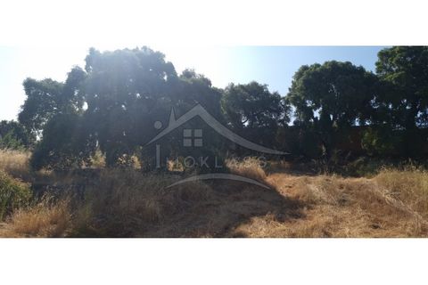 Terra a Alcains, Castelo Branco, Alcains - € 150.000 | Ref: TER_156 - foto 46