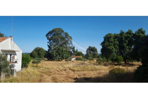 Terra a Alcains, Castelo Branco, Alcains - € 150.000 | Ref: TER_156 - foto 47