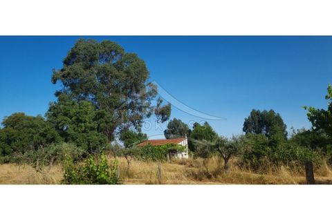 Terra a Alcains, Castelo Branco, Alcains - € 150.000 | Ref: TER_156 - foto 48